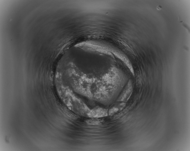 X0000091010661200708301359