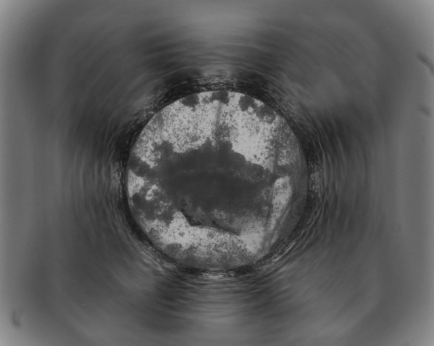 X0000091010662200708301359