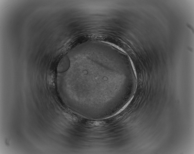 X0000091010663200708301359