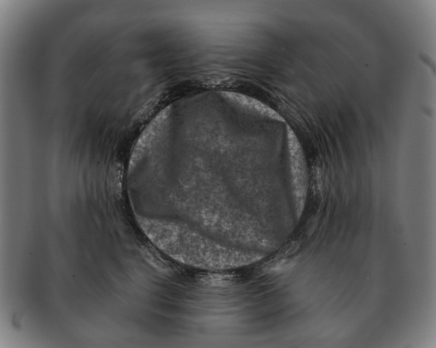 X0000091010664200708301359