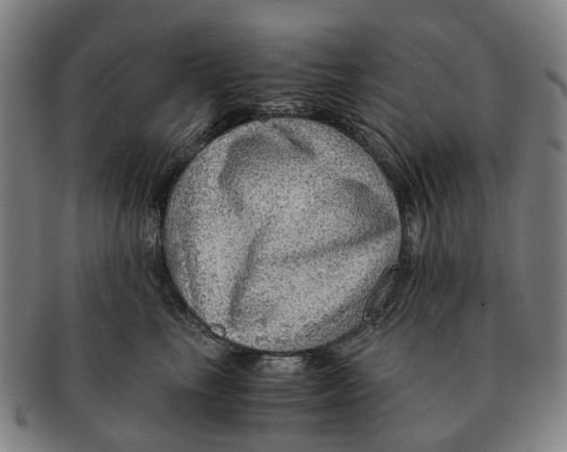 X0000091010665200708301359