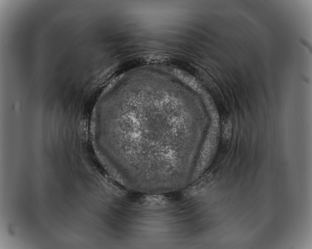 X0000091010666200708301359