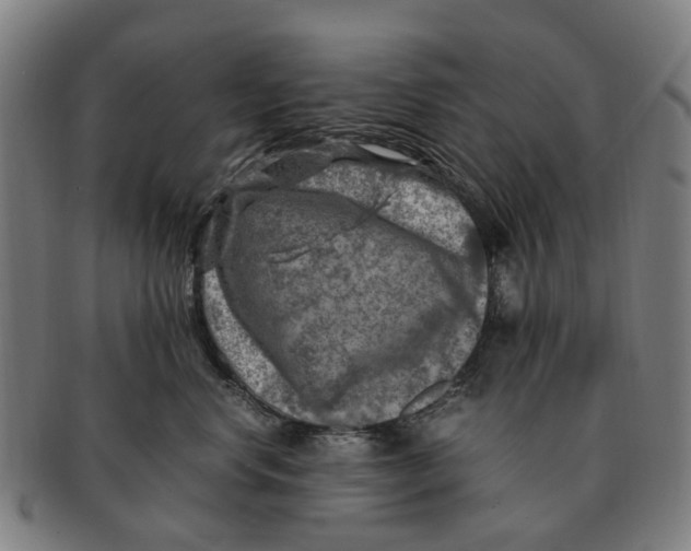 X0000091010668200708301359