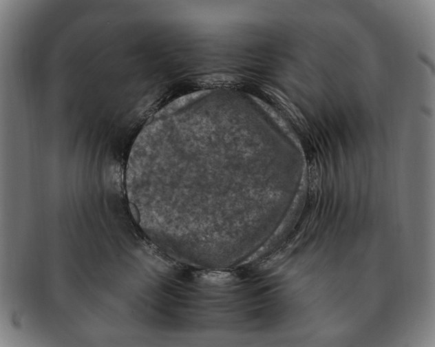 X0000091010669200708301359