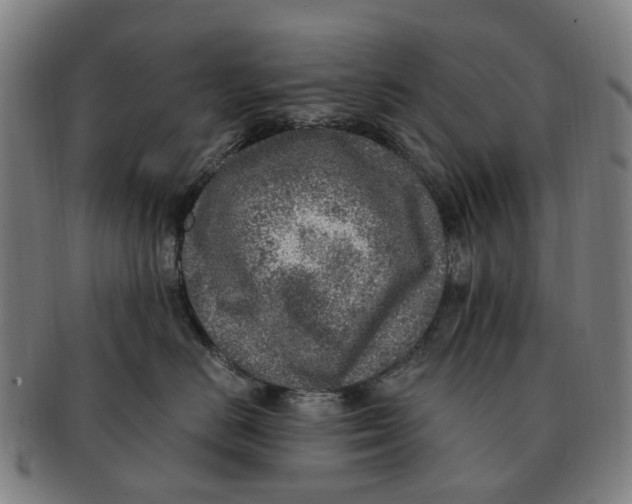 X0000091010670200708301359