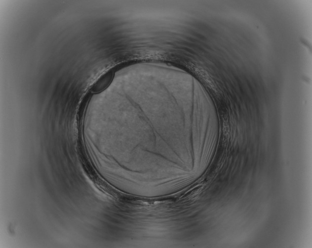 X0000091010674200708301358