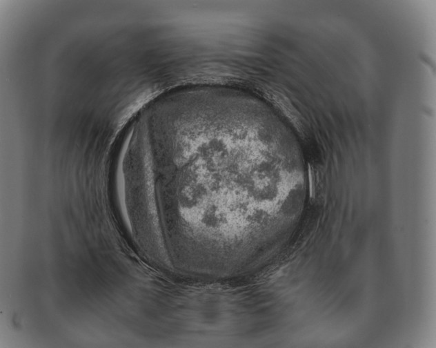 X0000091010675200708301358