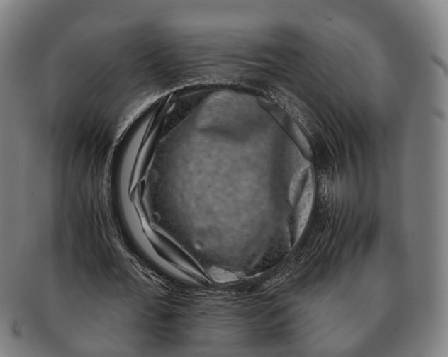 X0000091010676200708301358