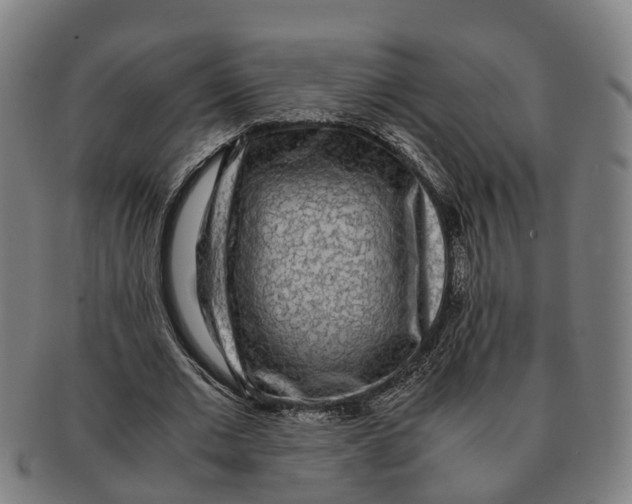 X0000091010677200708301358