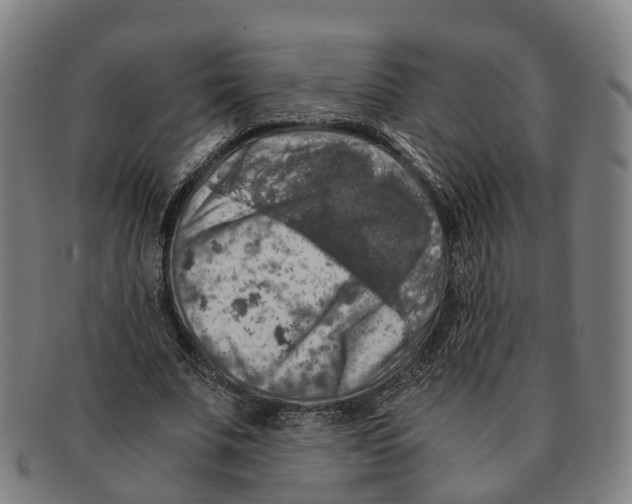 X0000091010679200708301358