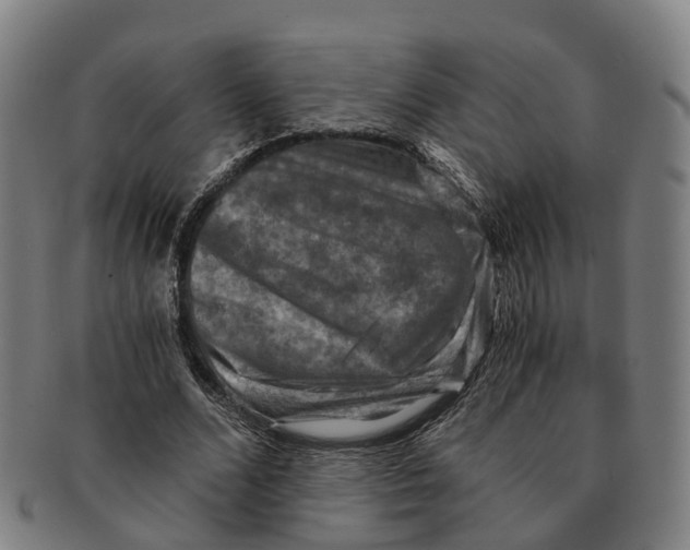 X0000091010680200708301358