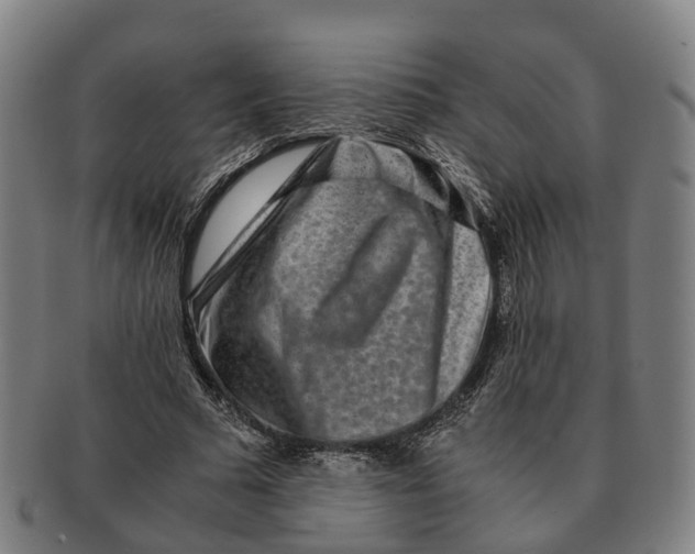 X0000091010681200708301358