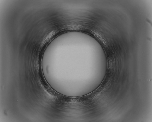 X0000091010682200708301358