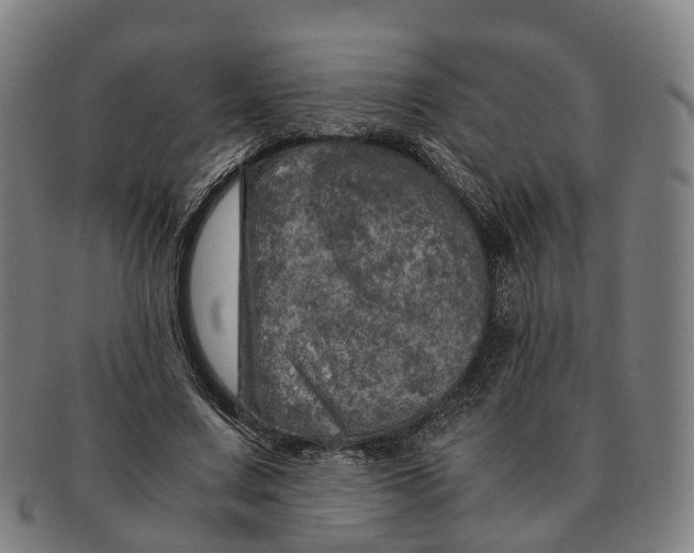 X0000091010683200708301358