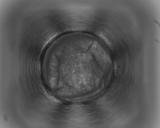 X0000091010684200708301358