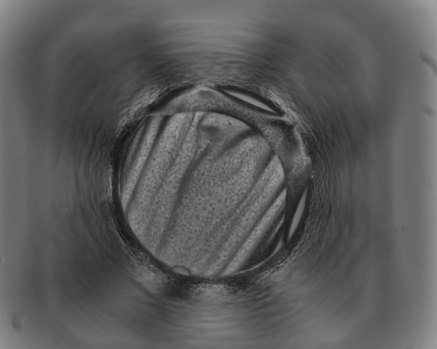 X0000091010685200708301358