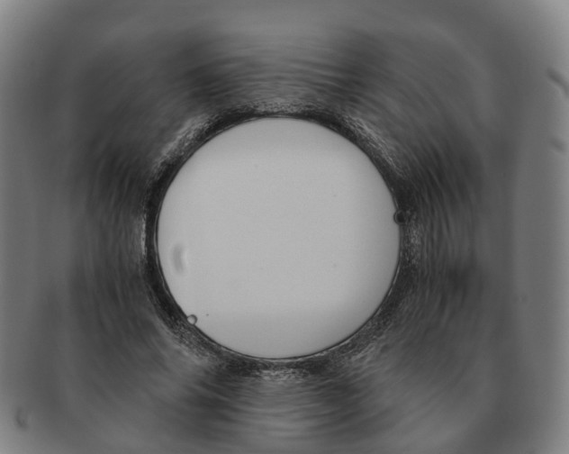 X0000091010686200708301358