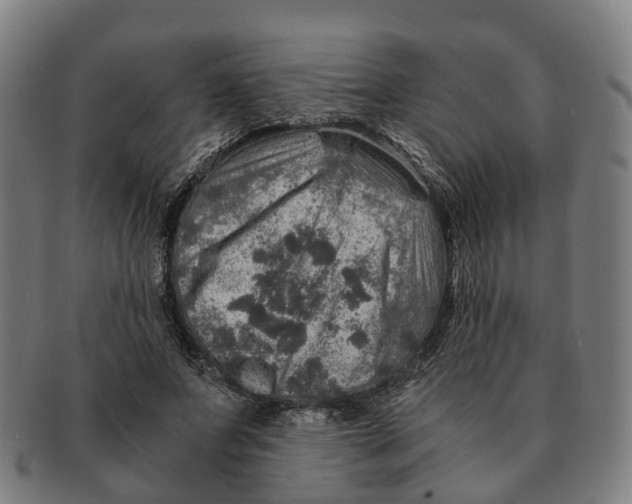 X0000091010687200708301358