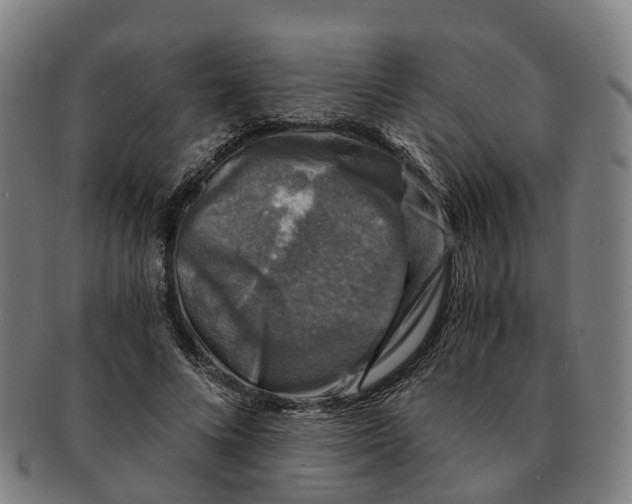 X0000091010688200708301358