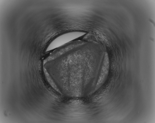 X0000091010689200708301358