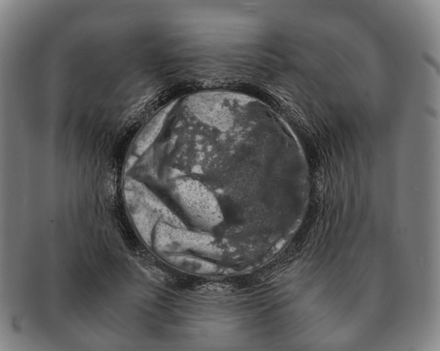 X0000091010691200708301358