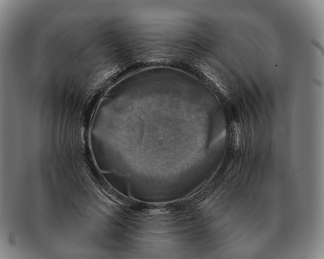 X0000091010692200708301358