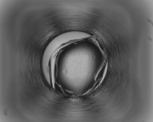 X0000091010693200708301358