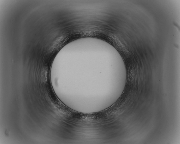 X0000091010694200708301358