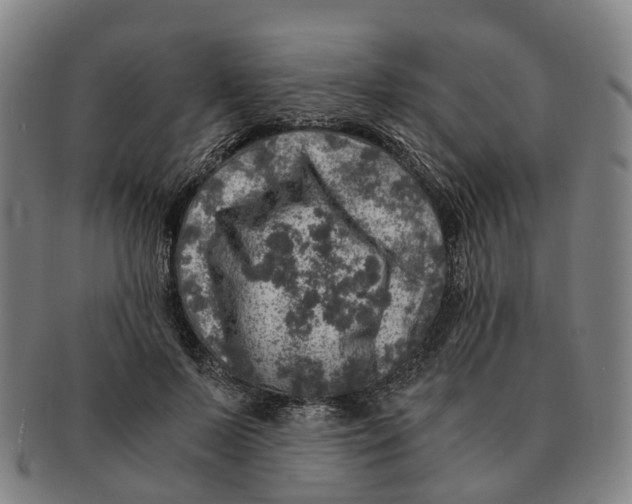 X0000091010695200708301358