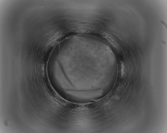 X0000091010696200708301358