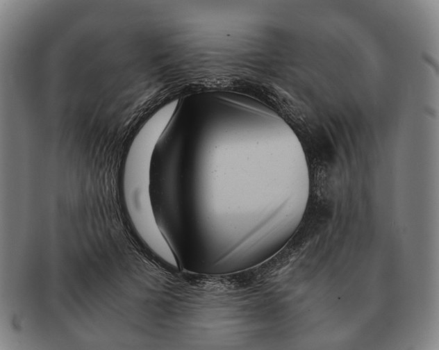 X0000091010697200708301358