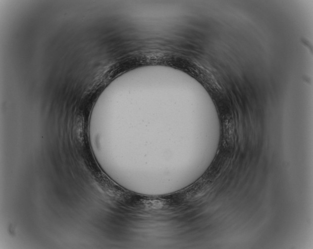 X0000091010698200708301358