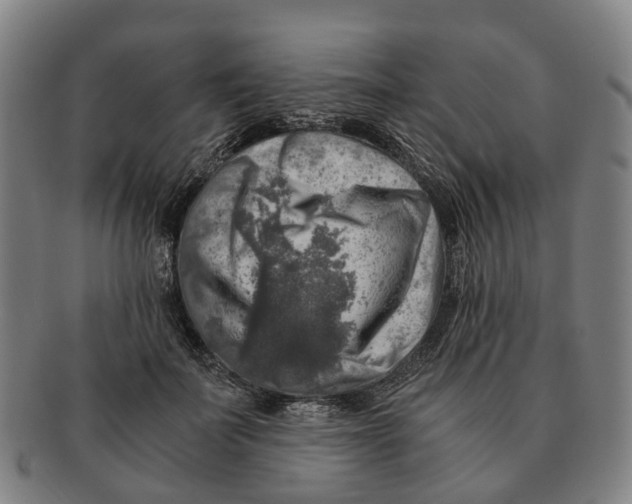 X0000091010699200708301358