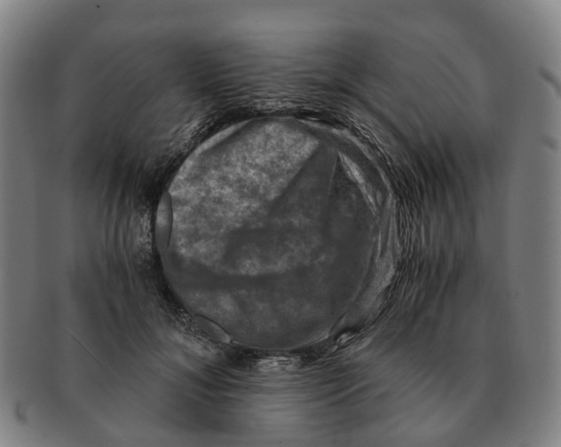 X0000091010700200708301358