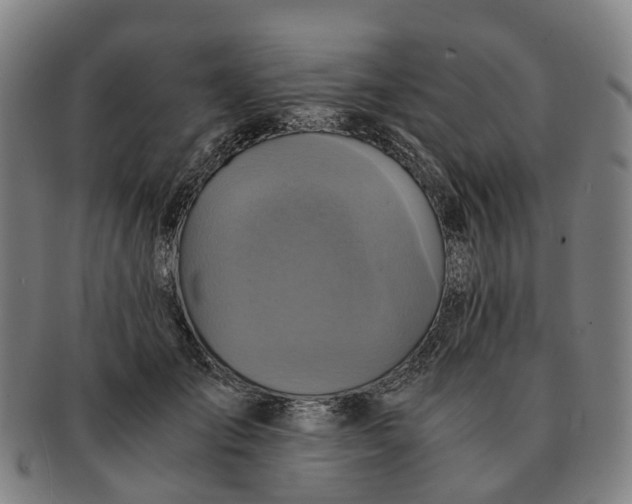 X0000091010701200708301358