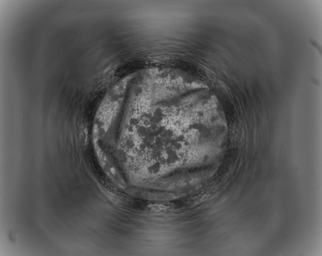 X0000091010703200708301358