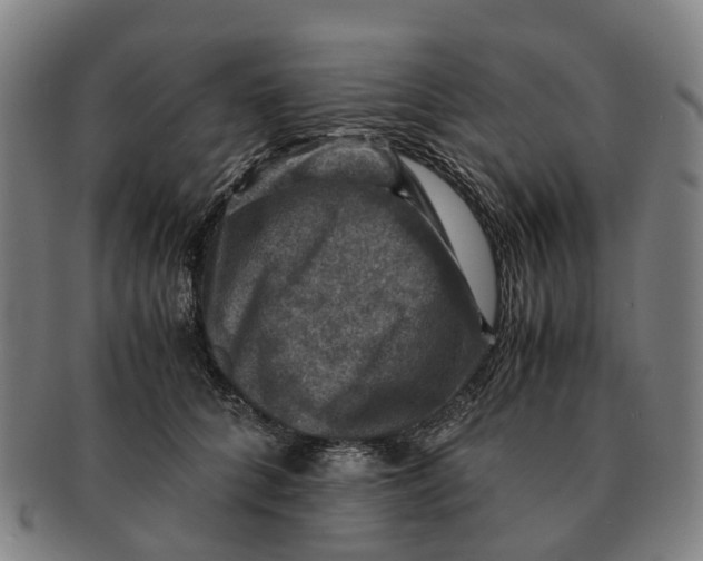 X0000091010704200708301358