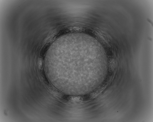 X0000091010709200708301357