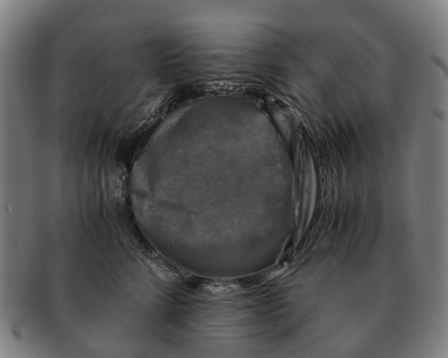 X0000091010712200708301357