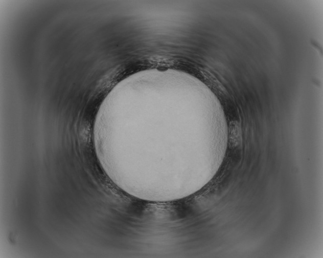 X0000091010713200708301357