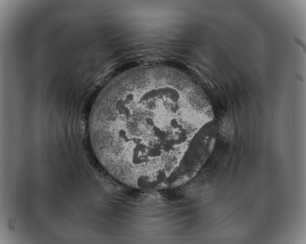 X0000091010715200708301357