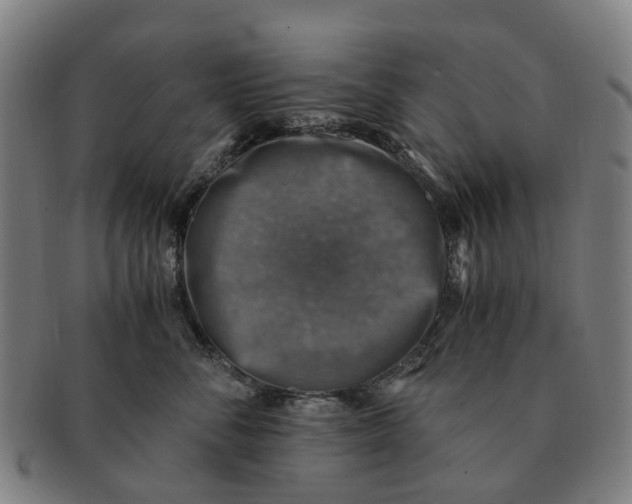 X0000091010716200708301357