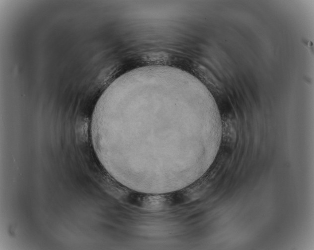 X0000091010717200708301357