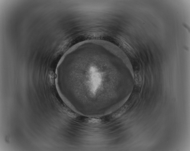 X0000091010718200708301357