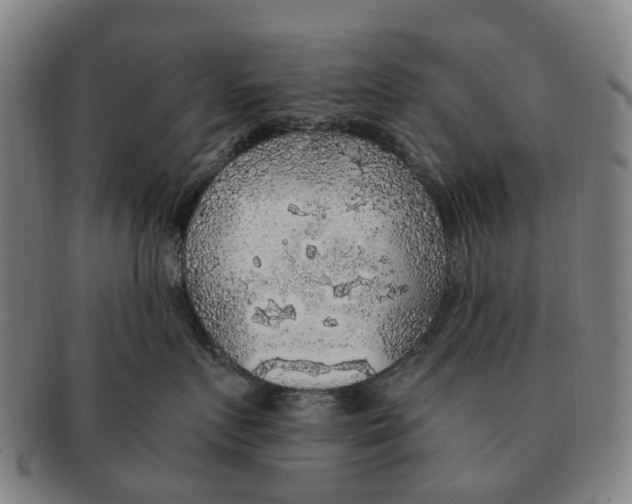 X0000091010719200708301357