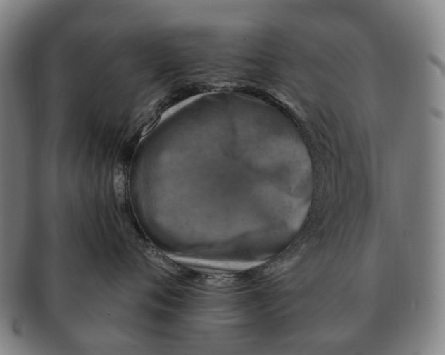 X0000091010720200708301357