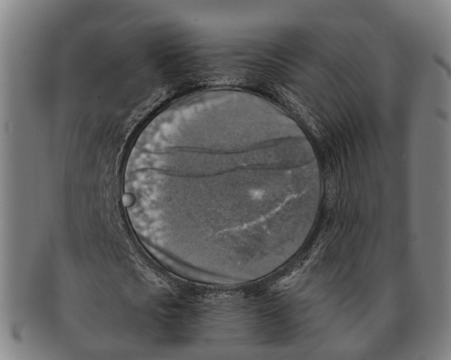 X0000091010721200708301357