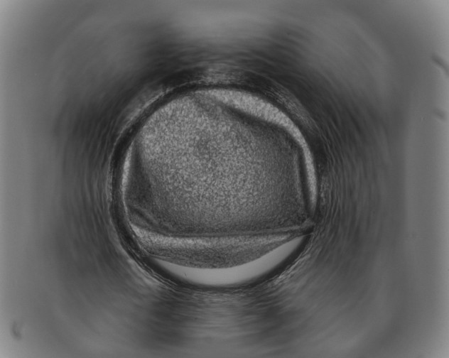 X0000091010722200708301357