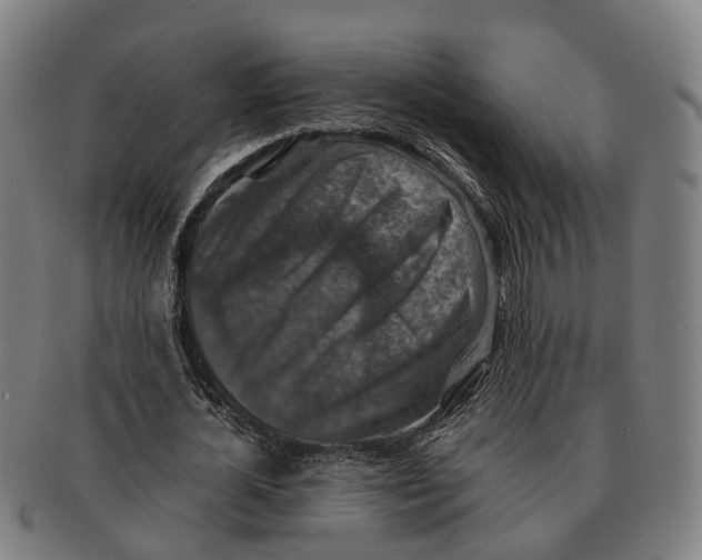 X0000091010724200708301357