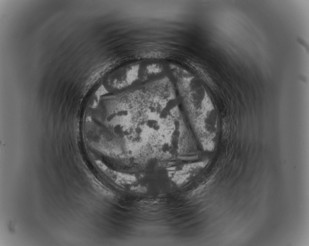 X0000091010725200708301357